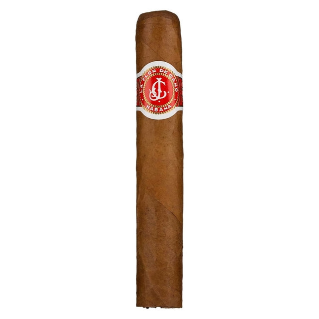 Flor de Cano Elegidos