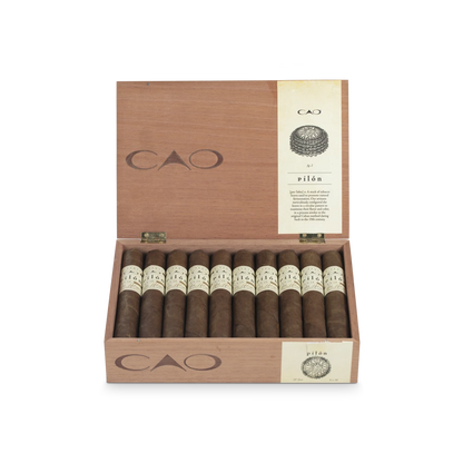 CAO Pilón Toro [20]