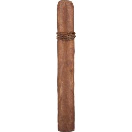 Cao Amazon Basin Toro