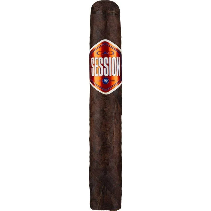 CAO 会议车库罗布斯托 [20]