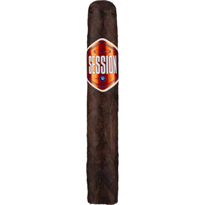 CAO 会议车库罗布斯托 [20]