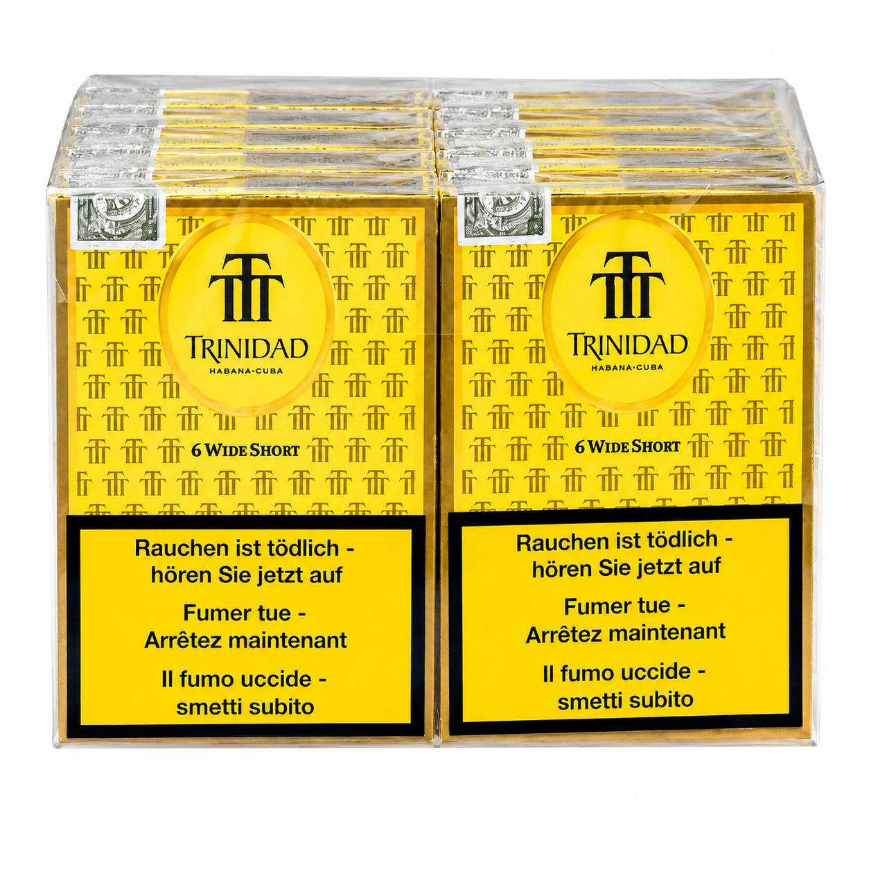 Trinidad Wide Short [10x6]