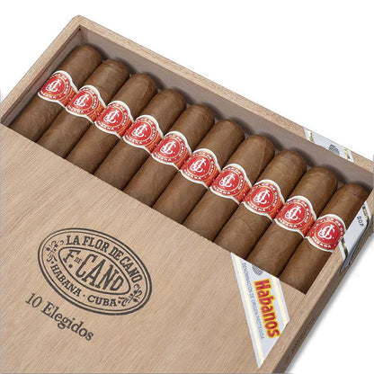 Flor de Cano Elegidos