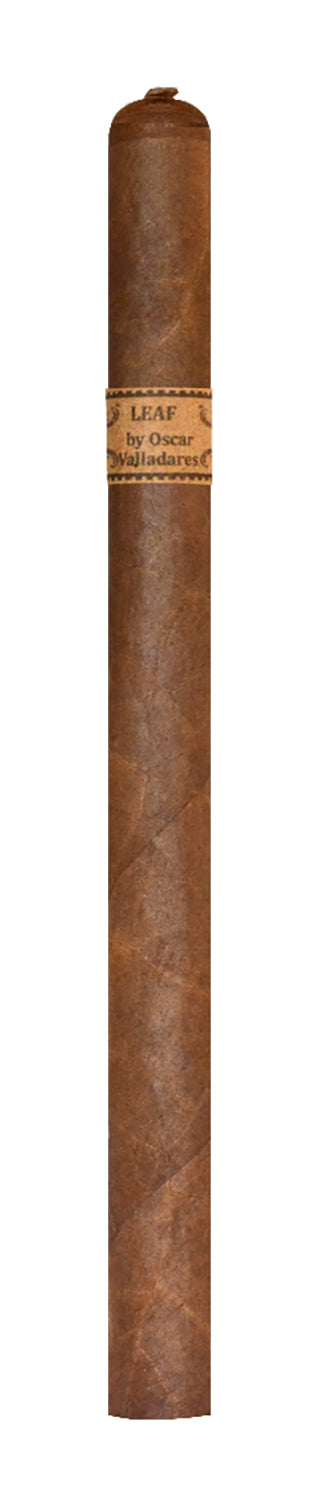 叶子，Oscar Corojo Lancero 摄