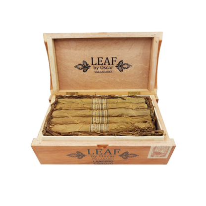 叶子，Oscar Corojo Lancero 摄