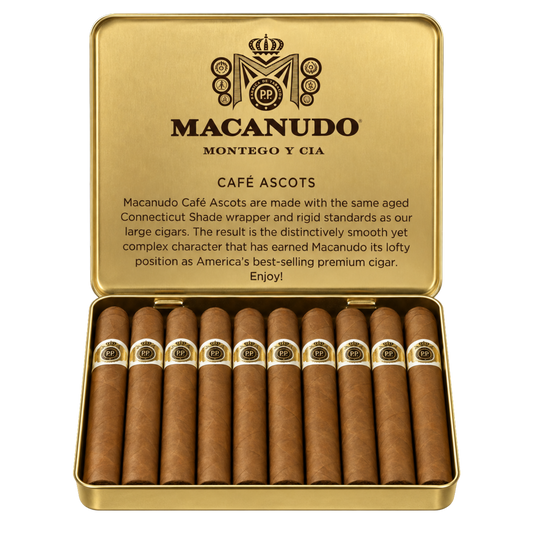 Macanudo 咖啡馆 阿斯科特 [10]